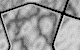 wall9 (1)