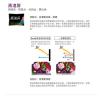 BenQ 55吋LED液晶顯示器55RV6600