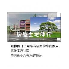 新本洲段491地號持分土地